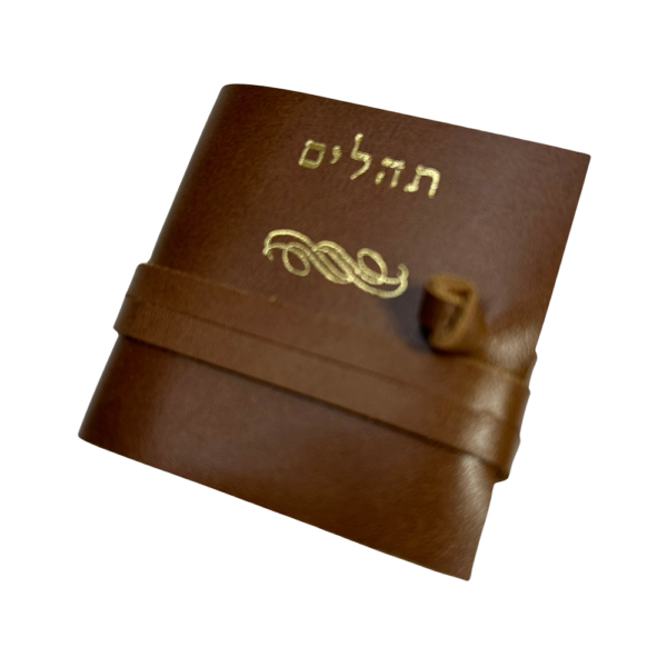 תהילים